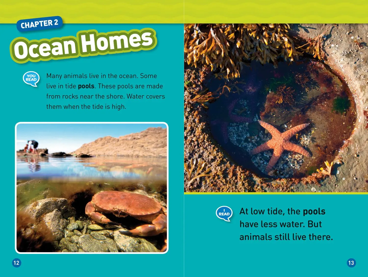 Bild: 9781426332357 | In the Ocean (National Geographic Kids Readers, Level 1/Co-Reader)