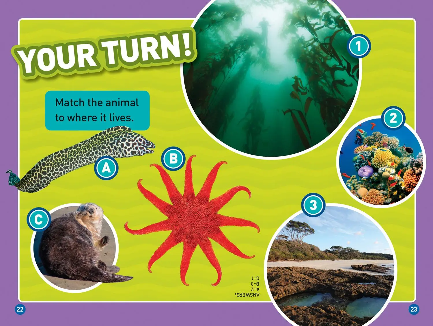 Bild: 9781426332357 | In the Ocean (National Geographic Kids Readers, Level 1/Co-Reader)