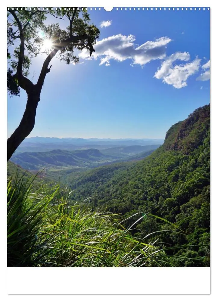 Bild: 9783435972357 | Regenwald - Australien (Wandkalender 2025 DIN A2 hoch), CALVENDO...