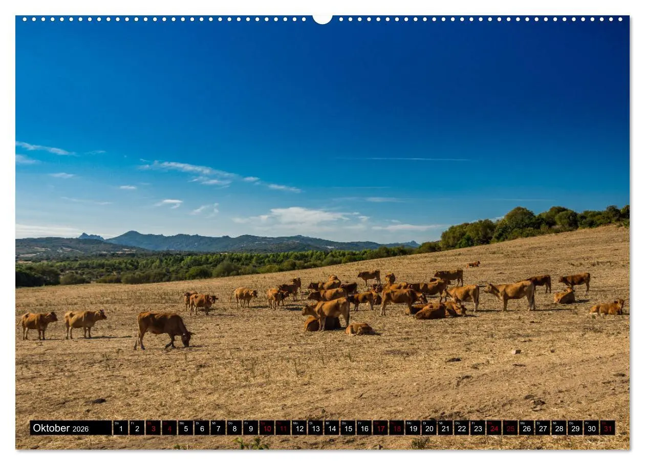 Bild: 9783457752357 | Wildes Sardinien 2026 (hochwertiger Premium Wandkalender 2026 DIN...