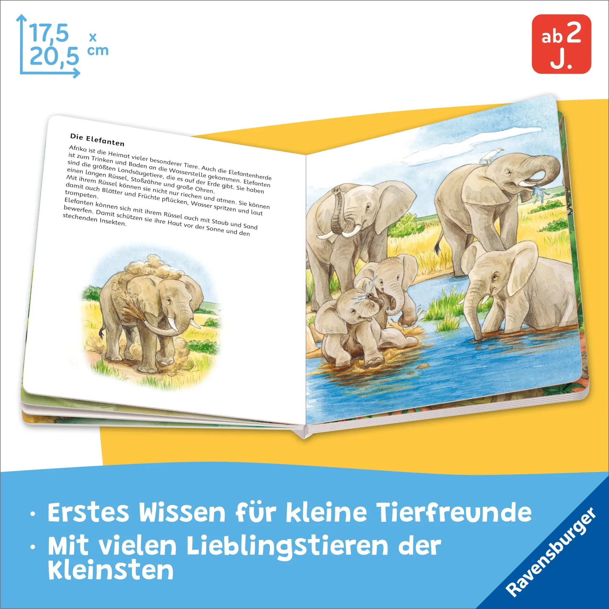 Bild: 9783473422357 | Entdecke die Tiere der Welt | Bea Zorell | Buch | 20 S. | Deutsch