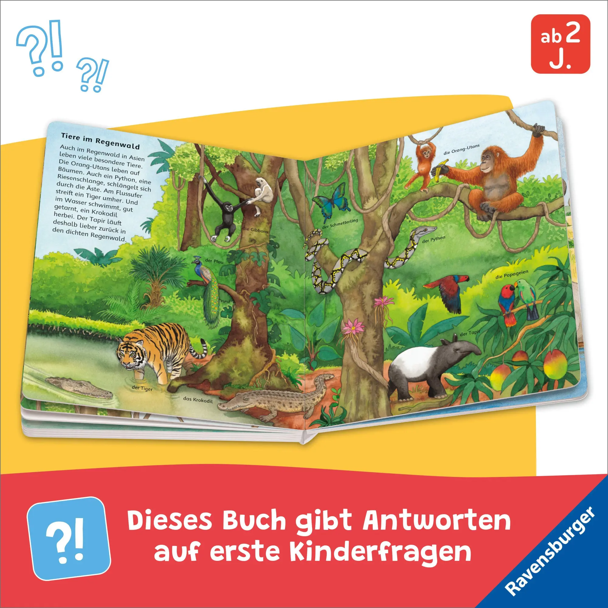 Bild: 9783473422357 | Entdecke die Tiere der Welt | Bea Zorell | Buch | 20 S. | Deutsch