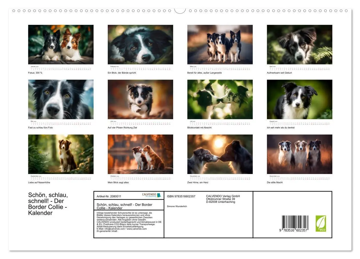 Bild: 9783516602357 | Schön, schlau, schnell! - Der Border Collie - Kalender...