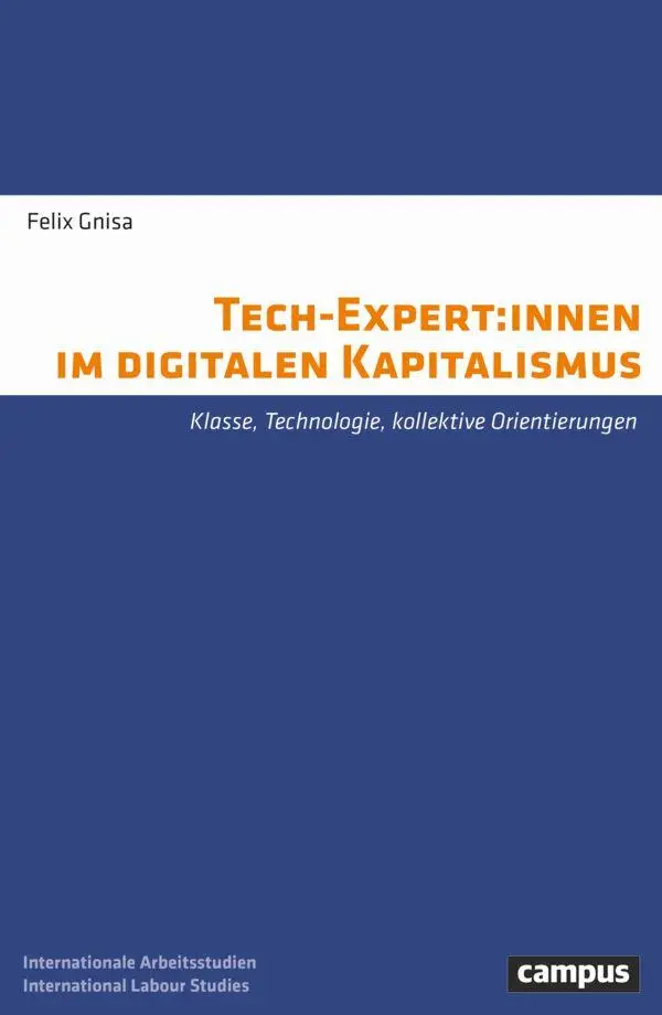 Gnisa, Felix: Tech-Expert:innen im digitalen Kapitalismus