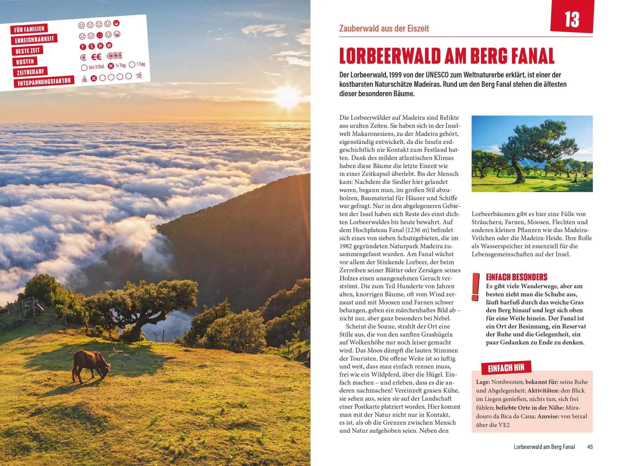 Bild: 9783734332357 | Einfach Madeira! | Alexander Karlmann | Taschenbuch | 96 S. | Deutsch