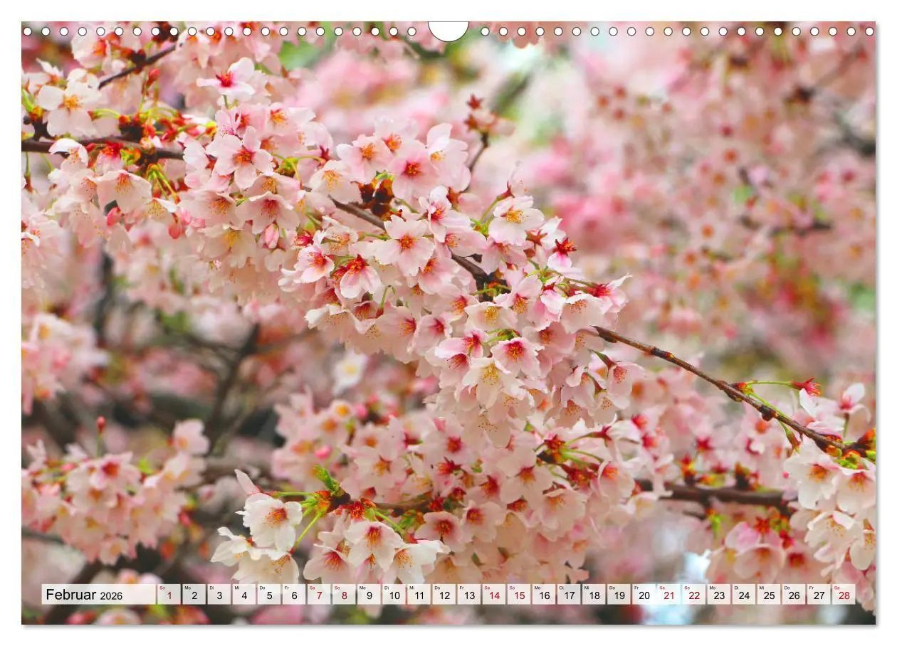 Bild: 9783457672457 | Japan das Land der aufgehenden Sonne (Wandkalender 2026 DIN A3...