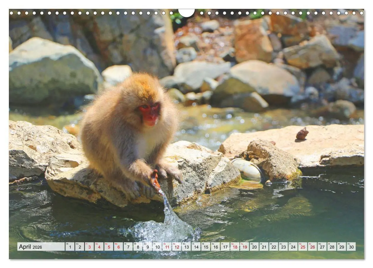 Bild: 9783457672457 | Japan das Land der aufgehenden Sonne (Wandkalender 2026 DIN A3...