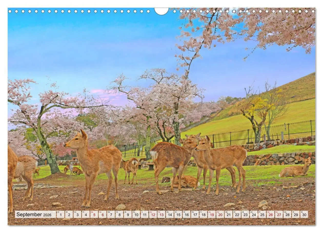 Bild: 9783457672457 | Japan das Land der aufgehenden Sonne (Wandkalender 2026 DIN A3...