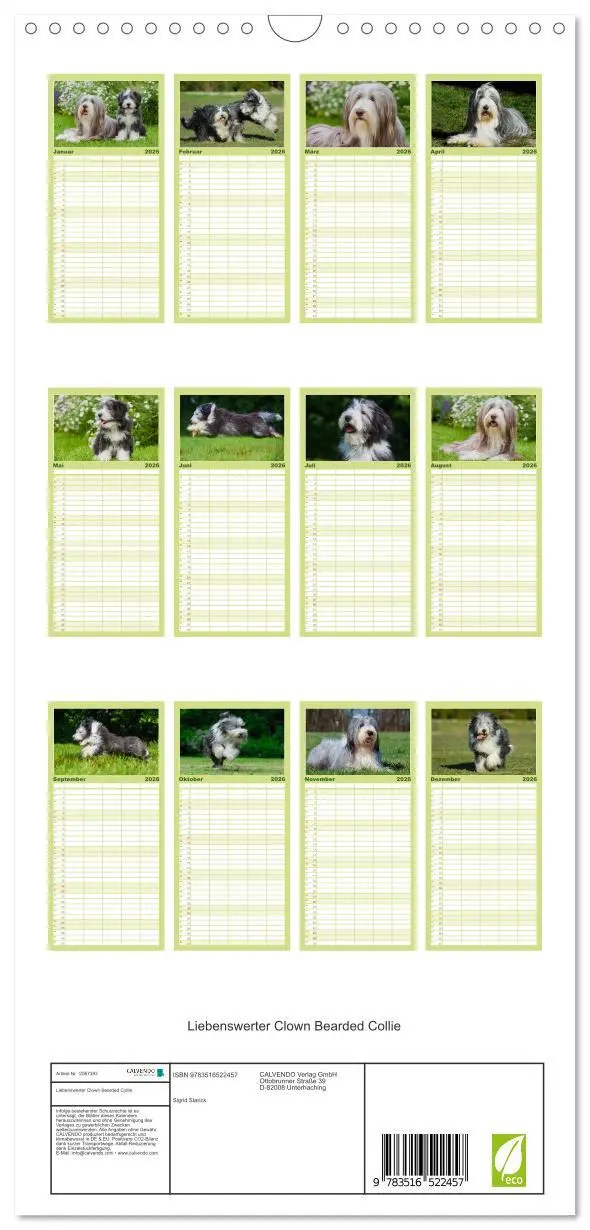 Bild: 9783516522457 | Familienplaner 2026 - Liebenswerter Clown Bearded Collie mit 5...