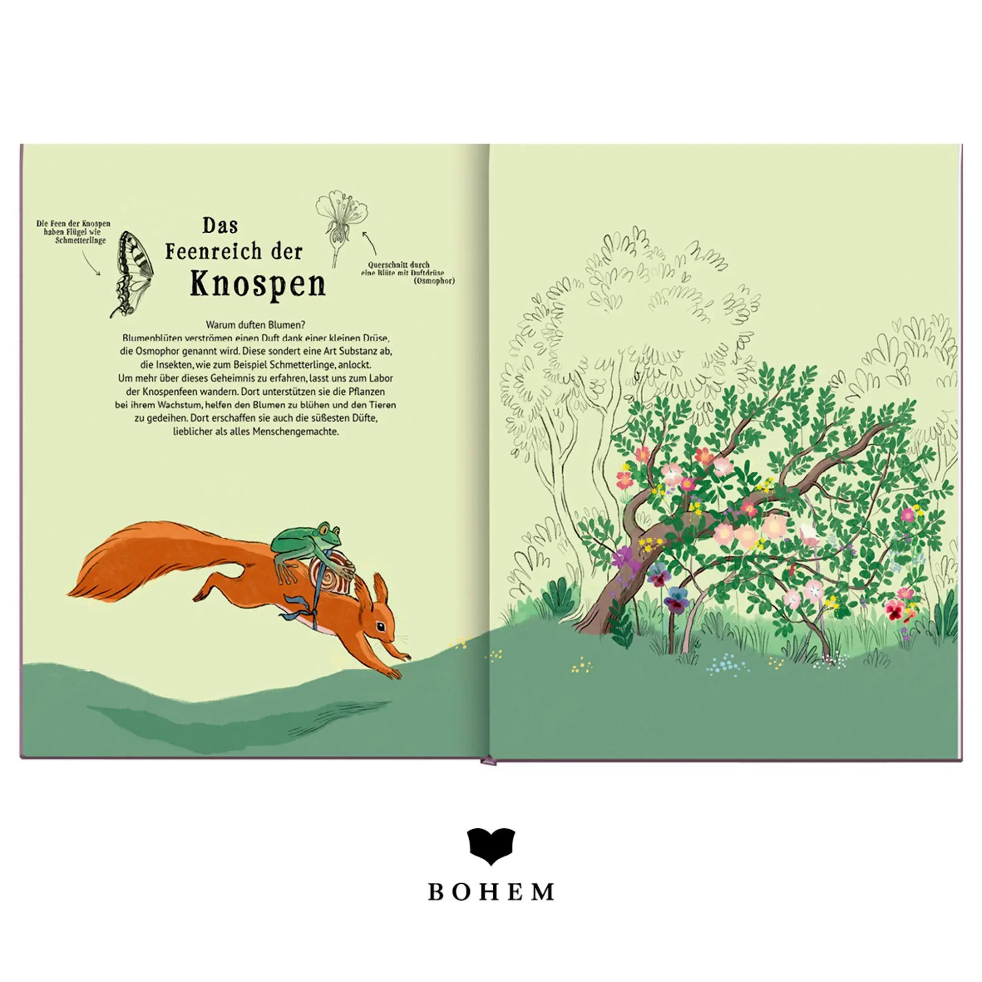 Bild: 9783959392457 | Das schönste Feenreich | Camille Garoche | Buch | 48 S. | Deutsch