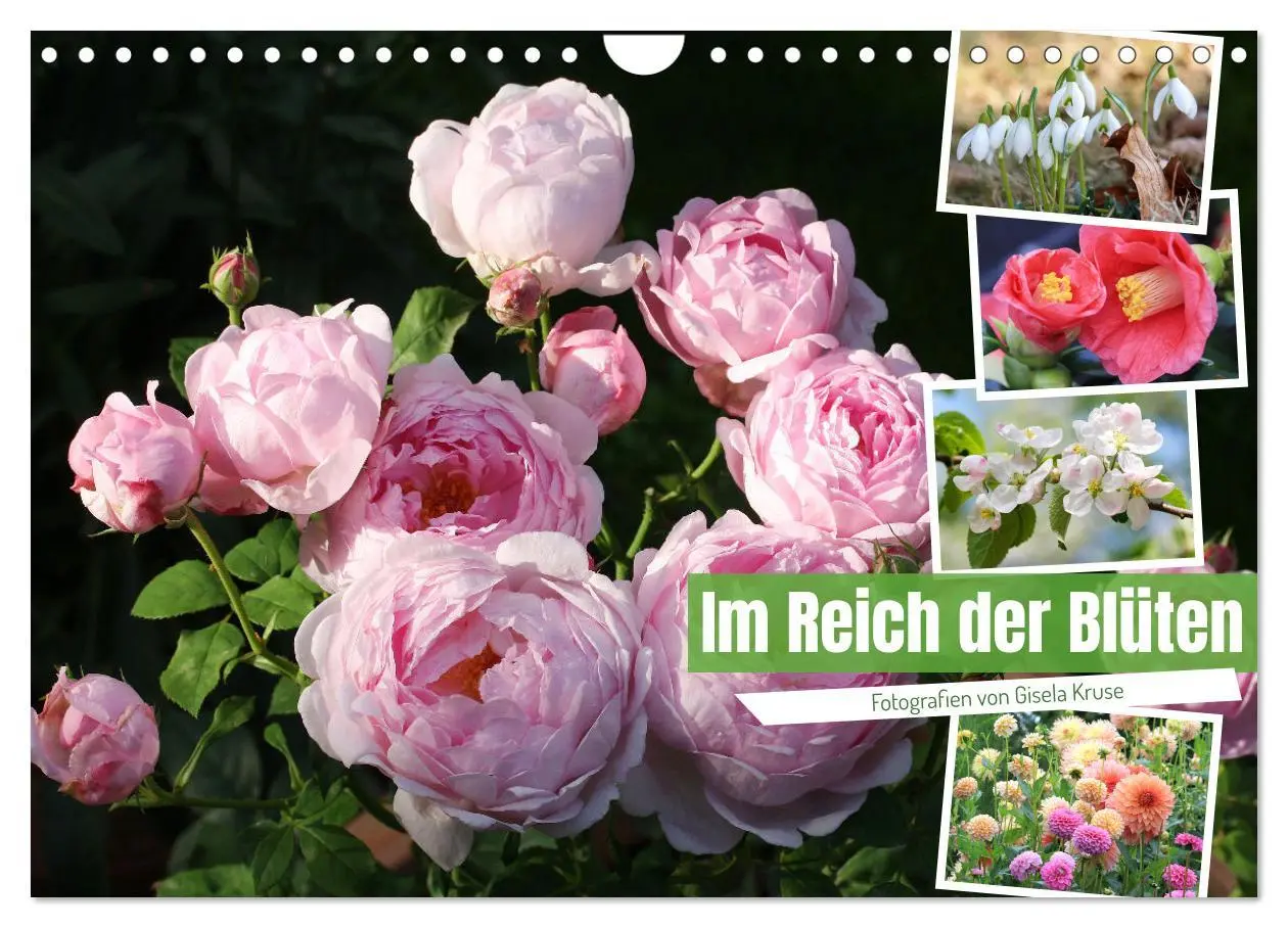 Cover: 9783457282557 | Im Reich der Blüten (Wandkalender 2026 DIN A4 quer), CALVENDO...