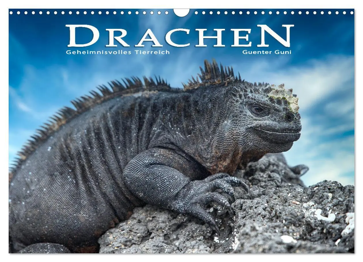 Cover: 9783457592557 | Drachen: Geheimnisvolles Tierreich (Wandkalender 2026 DIN A3 quer),...