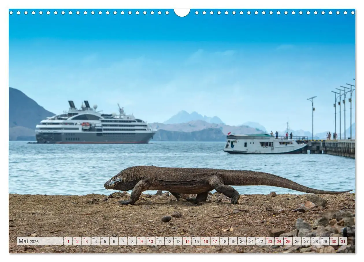 Bild: 9783457592557 | Drachen: Geheimnisvolles Tierreich (Wandkalender 2026 DIN A3 quer),...