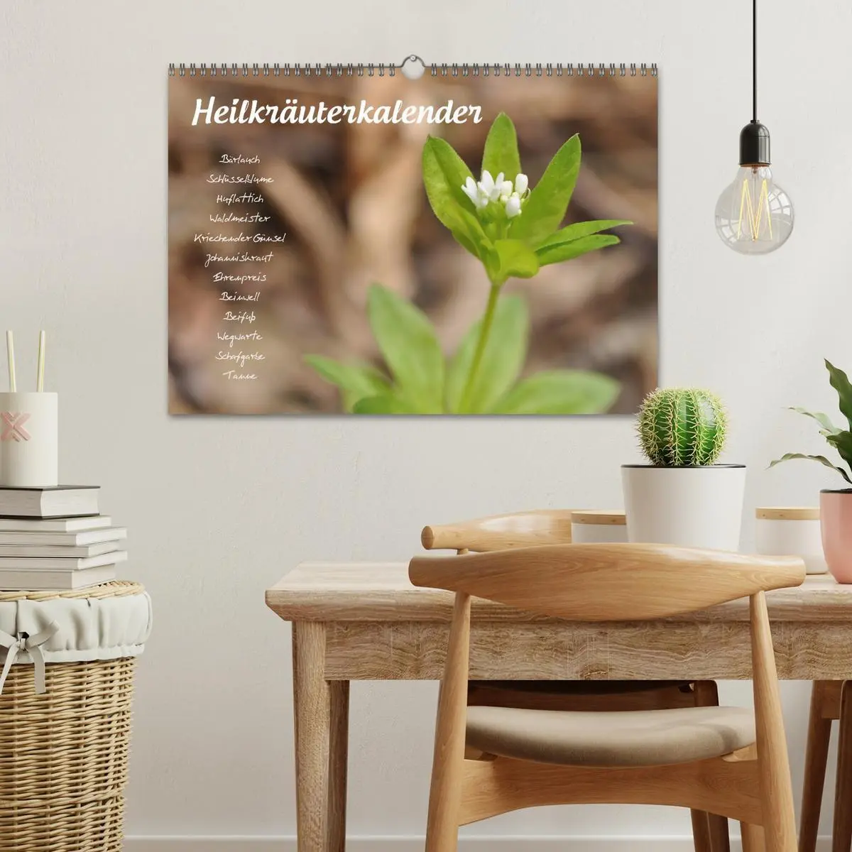 Bild: 9783516132557 | Heilkräuterkalender (Wandkalender 2026 DIN A3 quer), CALVENDO...