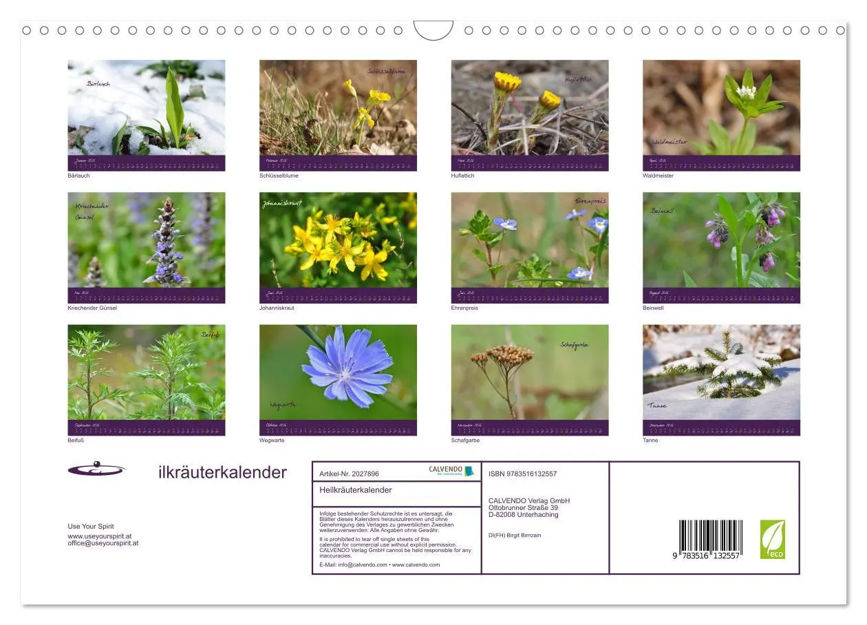 Bild: 9783516132557 | Heilkräuterkalender (Wandkalender 2026 DIN A3 quer), CALVENDO...