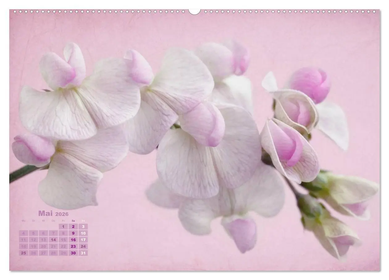 Bild: 9783516202557 | Zauberhafte Blüten (hochwertiger Premium Wandkalender 2026 DIN A2...