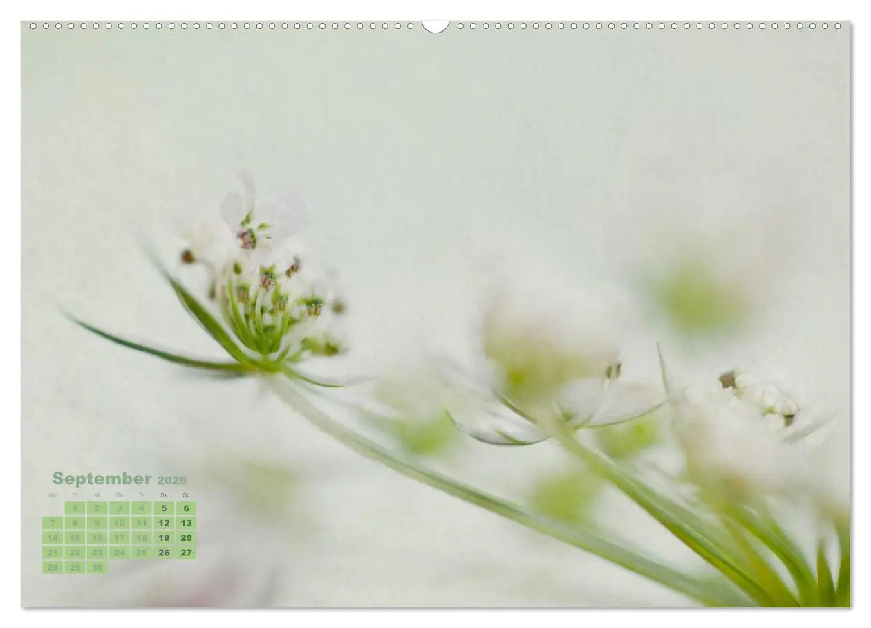 Bild: 9783516202557 | Zauberhafte Blüten (hochwertiger Premium Wandkalender 2026 DIN A2...