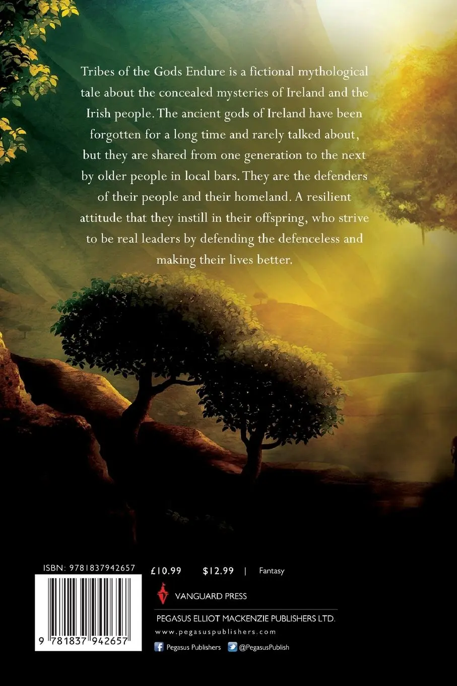Rückseite: 9781837942657 | Tribes of the Gods Endure | Kay Ni C | Taschenbuch | Englisch | 2024