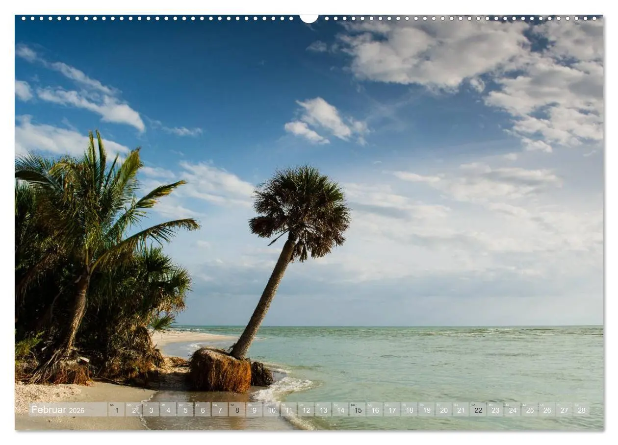 Bild: 9783516052657 | Florida. Sonne und Meer (Wandkalender 2026 DIN A2 quer), CALVENDO...