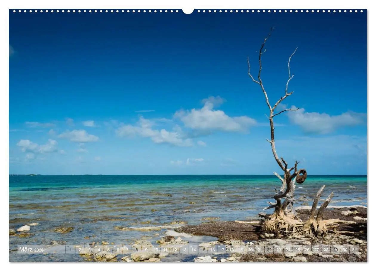 Bild: 9783516052657 | Florida. Sonne und Meer (Wandkalender 2026 DIN A2 quer), CALVENDO...