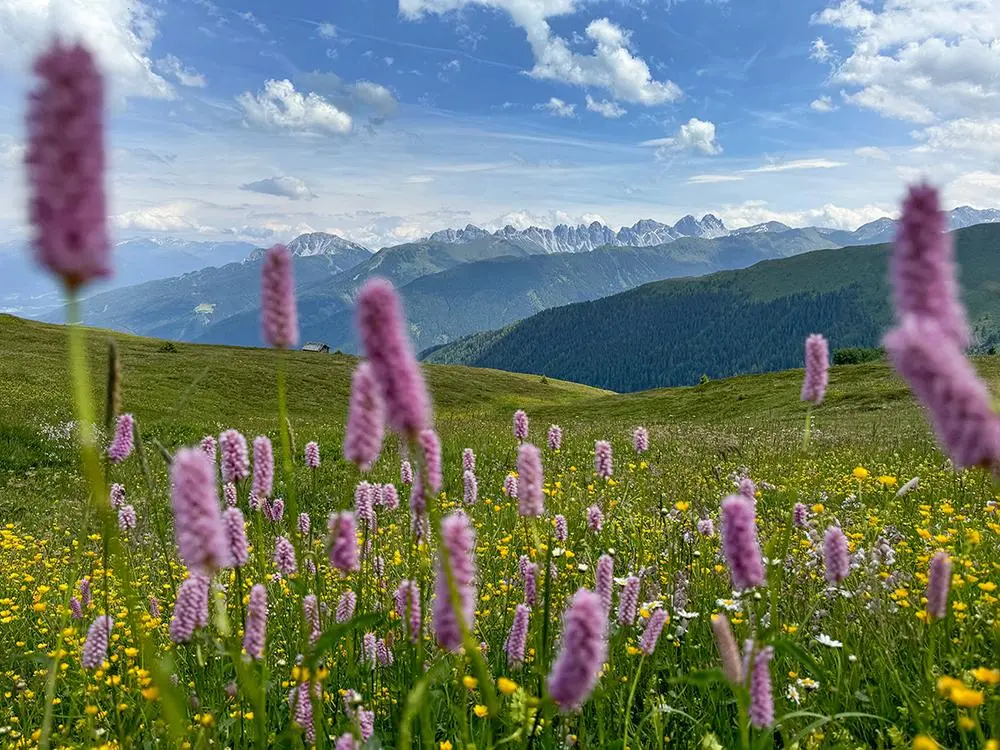 Bild: 9783702242657 | Tirol 2026 | Mit Fotos von Peter Umfahrer | Peter Umfahrer | Kalender