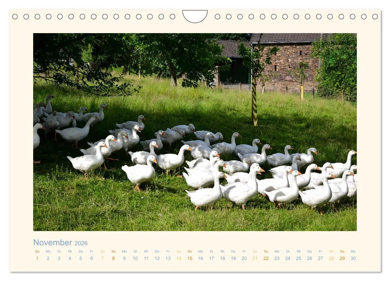 Bild: 9783457572757 | Wunderschönes Werdener Land 2026 (Wandkalender 2026 DIN A4 quer),...