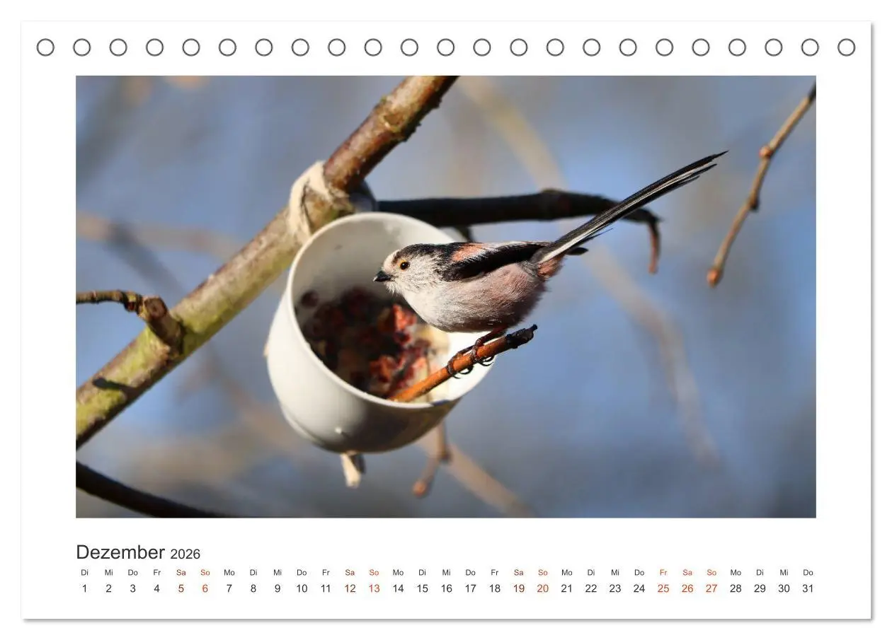 Bild: 9783457712757 | Gefiederte Gartengäste, Schwanzmeisen (Tischkalender 2026 DIN A5...