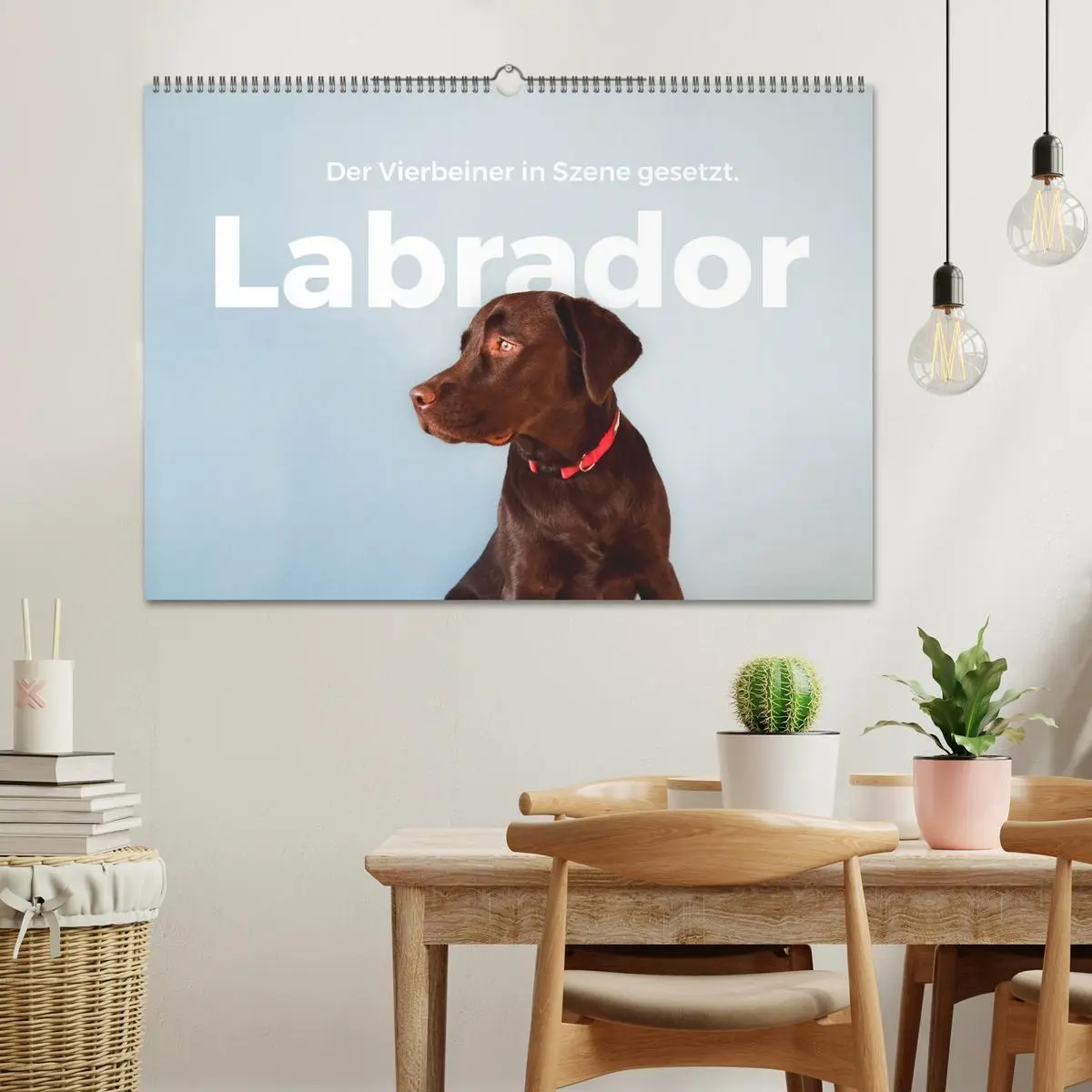 Bild: 9783457552957 | Labrador - Der Vierbeiner in Szene gesetzt. (Wandkalender 2026 DIN...