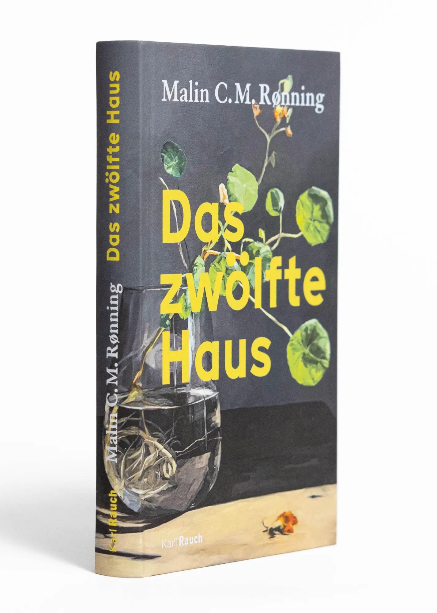Bild: 9783792002957 | Das zwölfte Haus | Malin C. M. Rønning | Buch | 320 S. | Deutsch