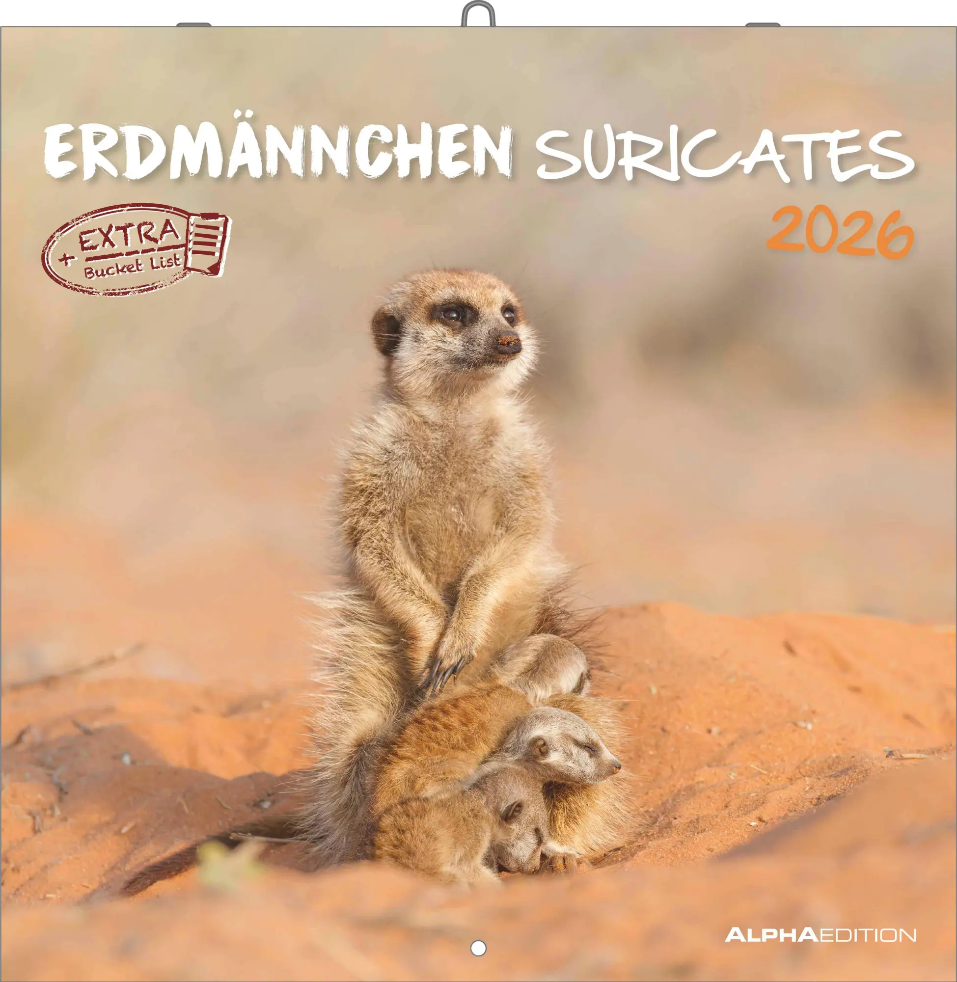 Cover: 4069095003057 | Alpha Edition - Erdmännchen 2026 Broschürenkalender, 30x30cm,...