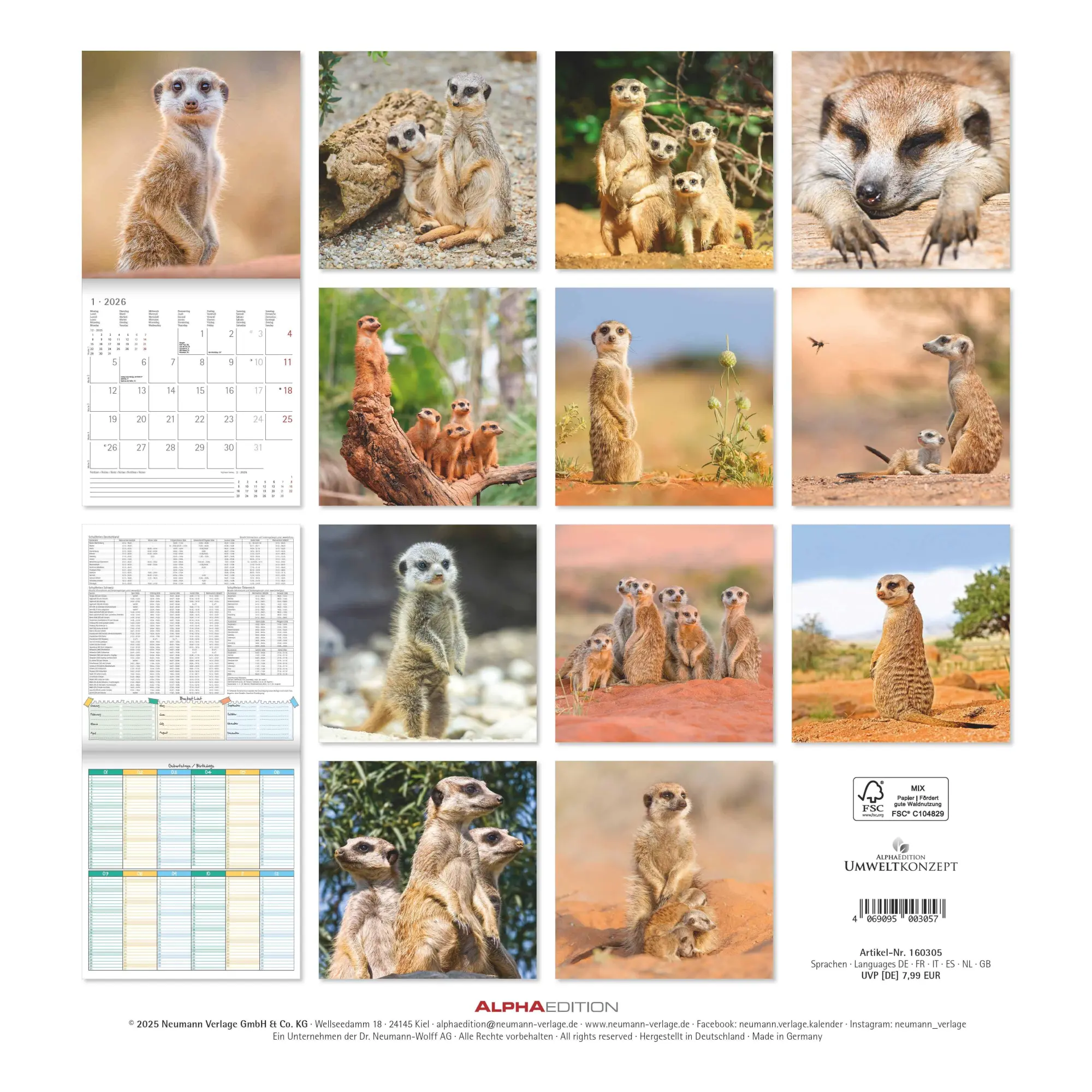 Rückseite: 4069095003057 | Alpha Edition - Erdmännchen 2026 Broschürenkalender, 30x30cm,...