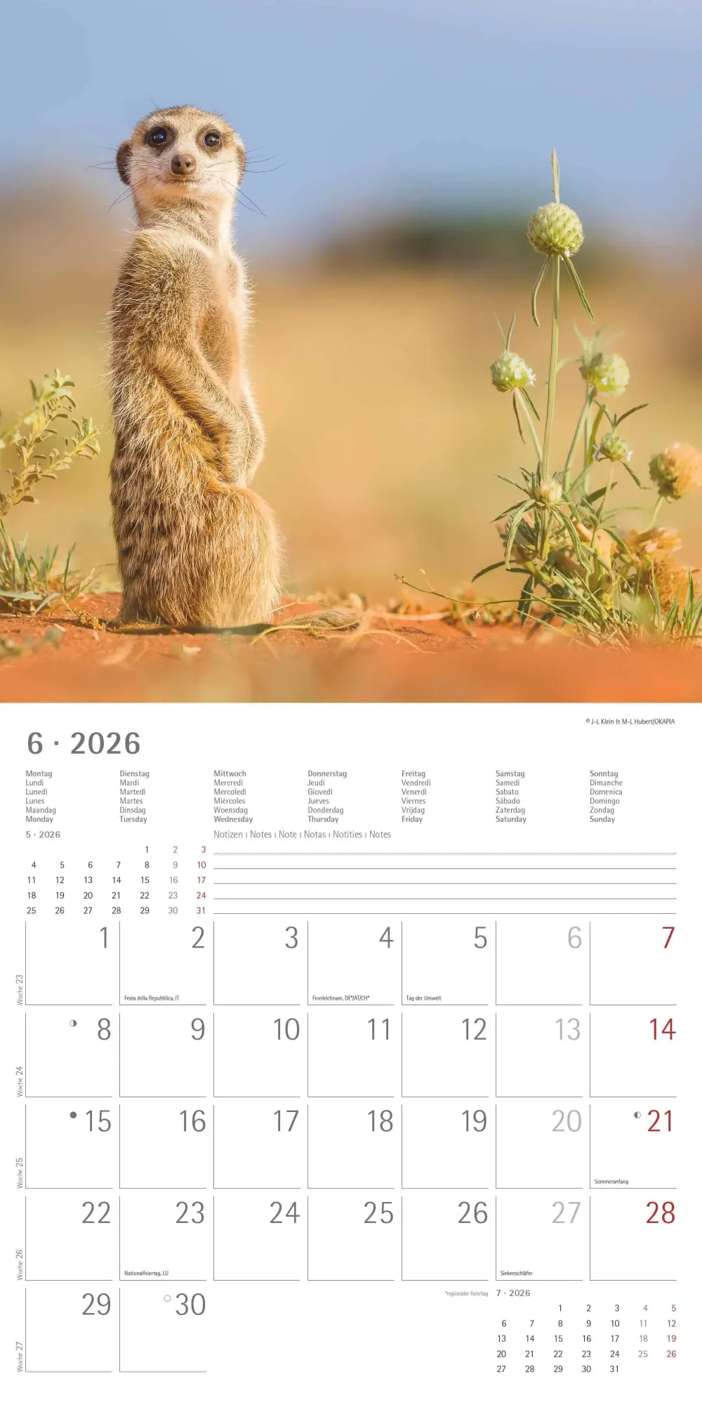 Bild: 4069095003057 | Alpha Edition - Erdmännchen 2026 Broschürenkalender, 30x30cm,...