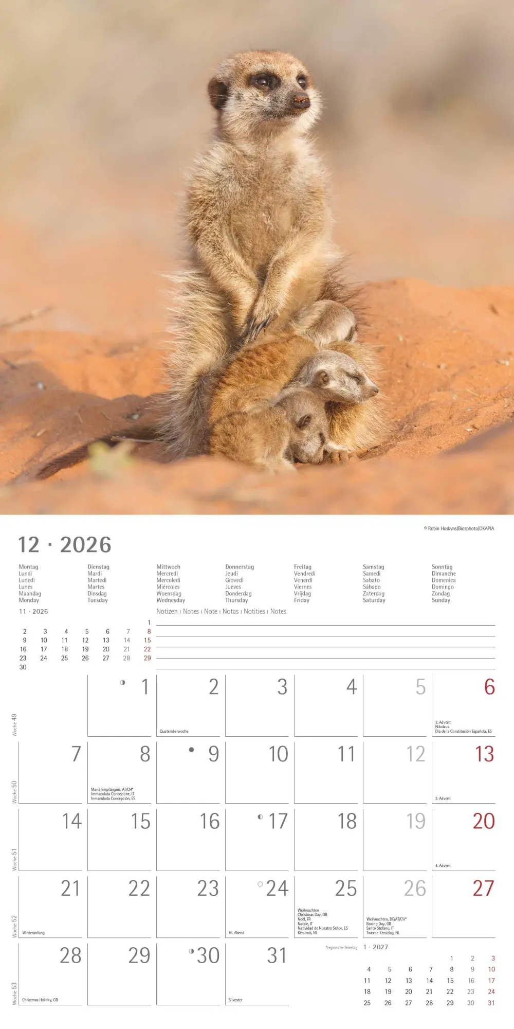 Bild: 4069095003057 | Alpha Edition - Erdmännchen 2026 Broschürenkalender, 30x30cm,...