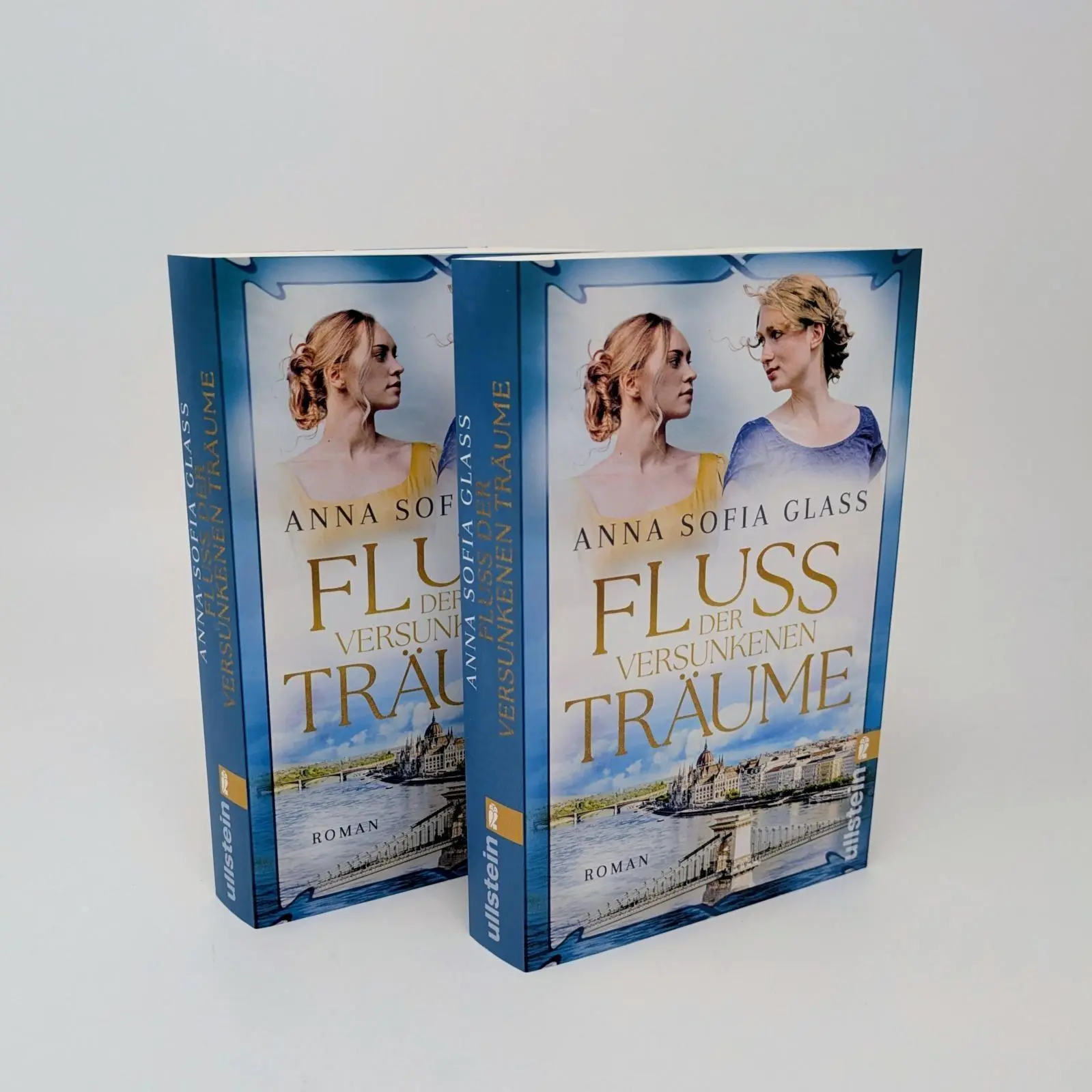 Bild: 9783548073057 | Fluss der versunkenen Träume | Anna Sofia Glass | Taschenbuch | 400 S.