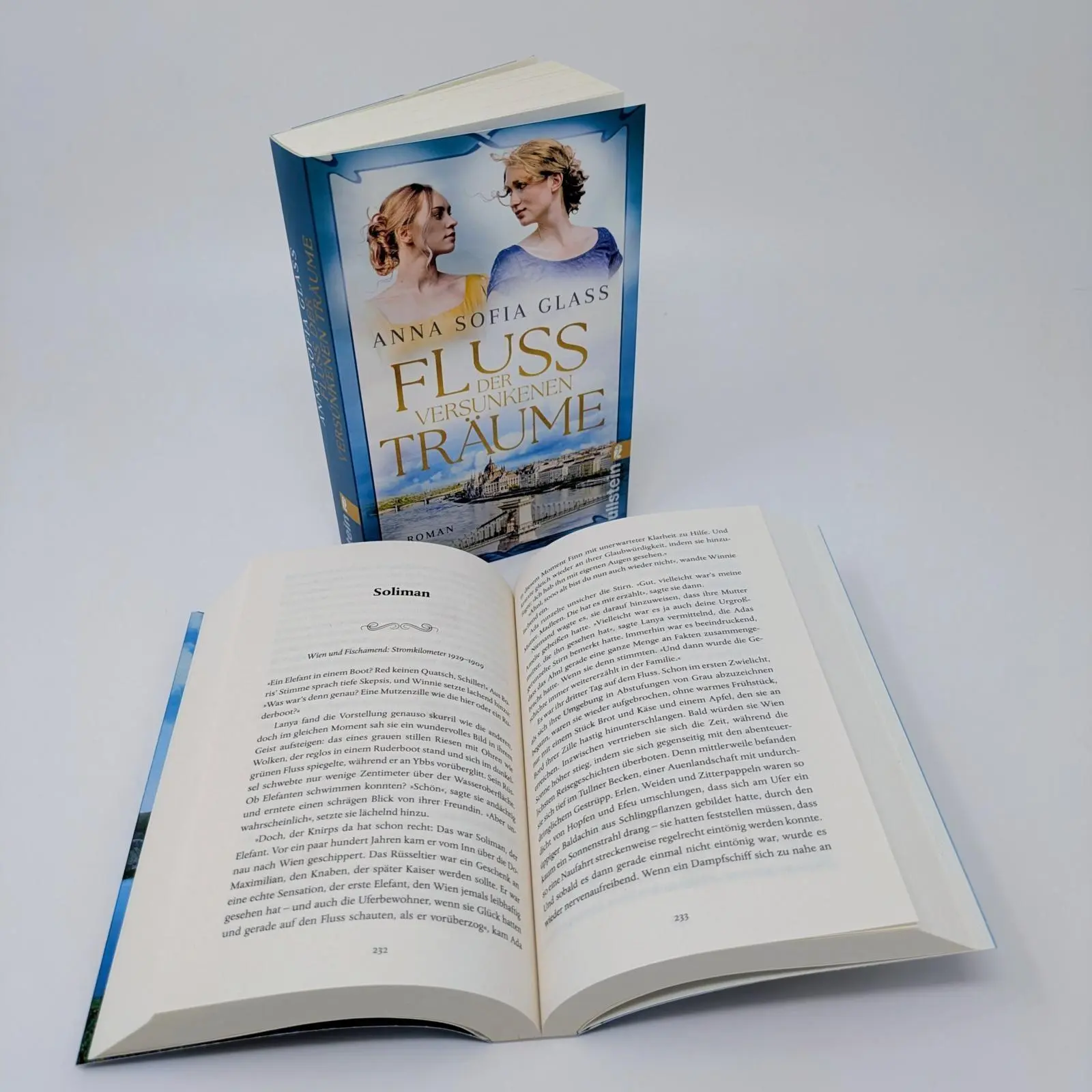 Bild: 9783548073057 | Fluss der versunkenen Träume | Anna Sofia Glass | Taschenbuch | 400 S.
