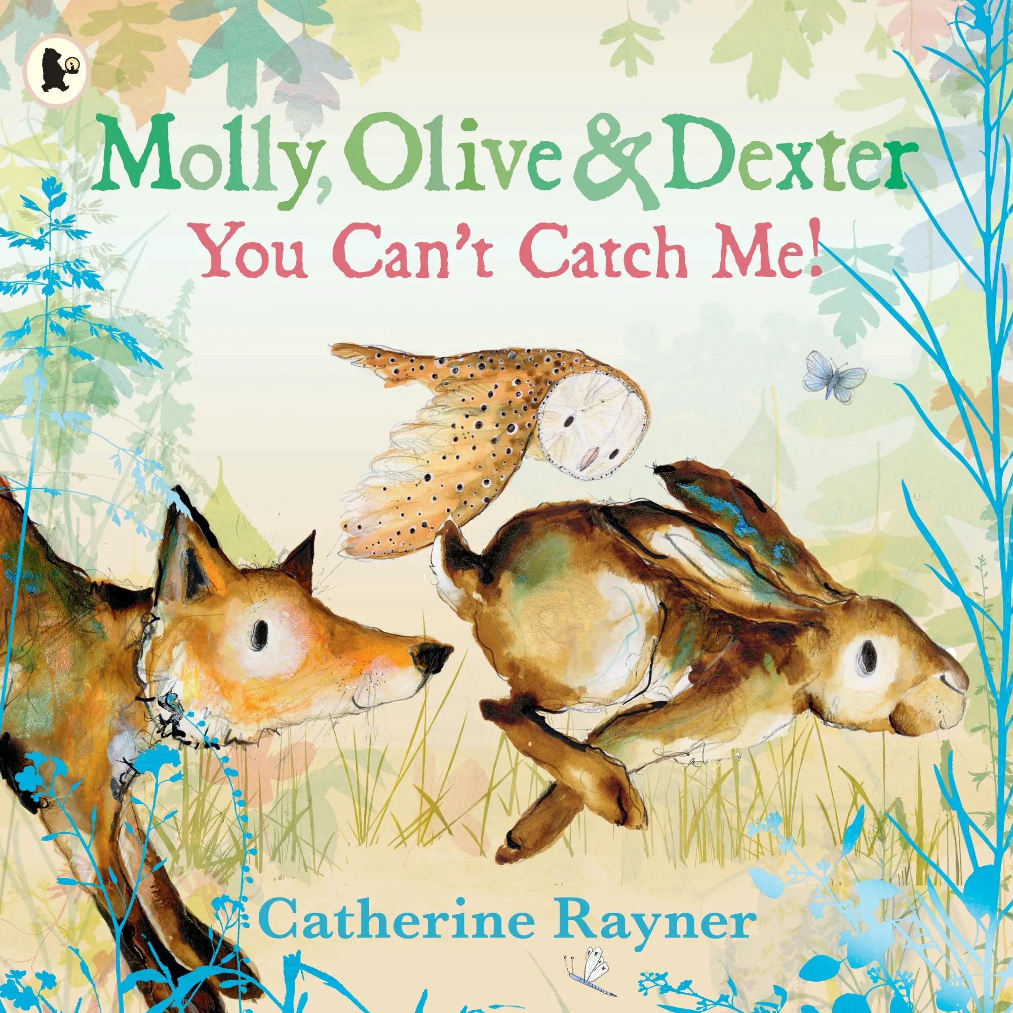 Cover: 9781529523157 | Molly, Olive and Dexter: You Can't Catch Me! | Catherine Rayner | Buch