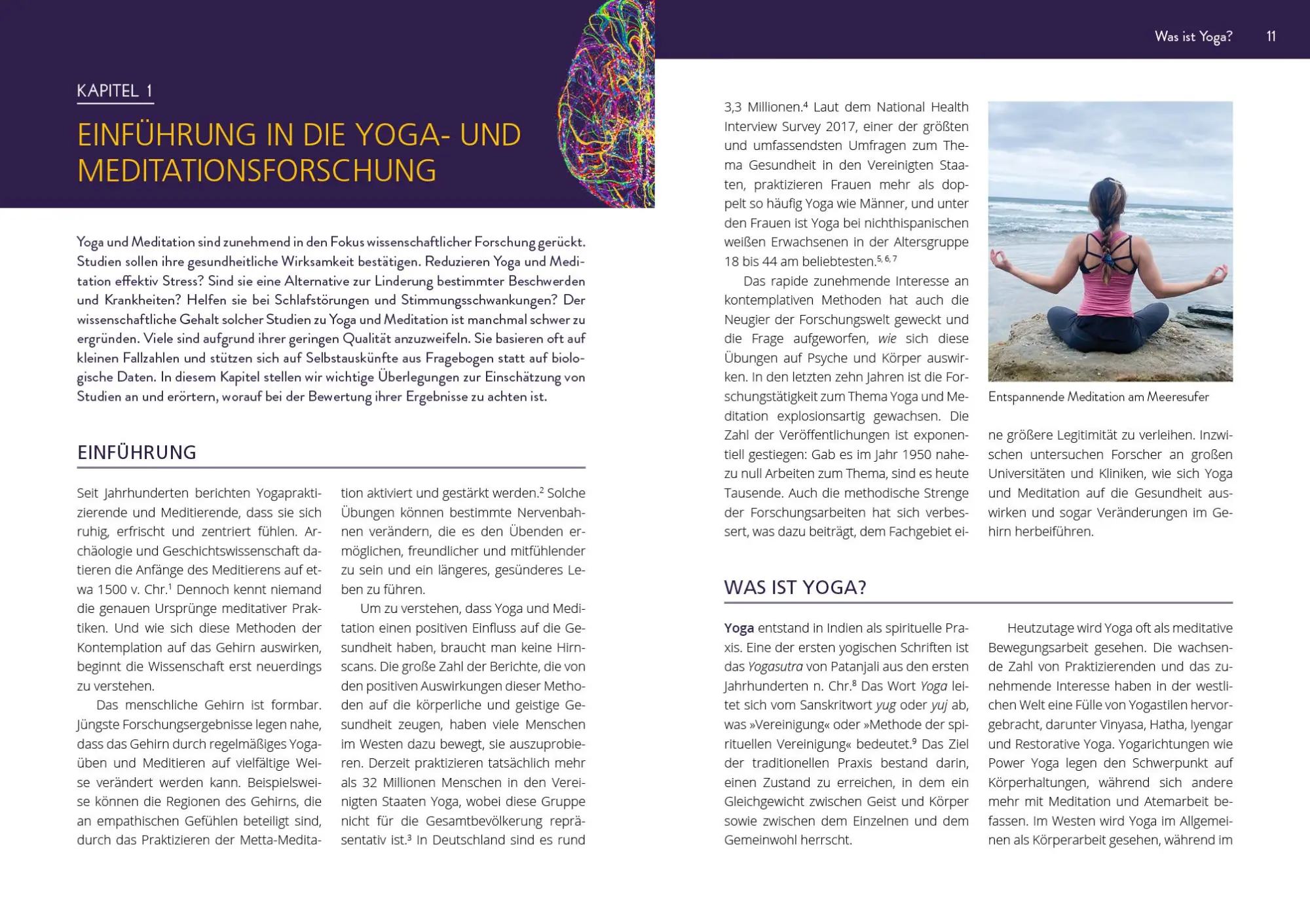 Bild: 9783742313157 | Die Neurowissenschaft hinter Yoga und Meditation | Brittany Fair