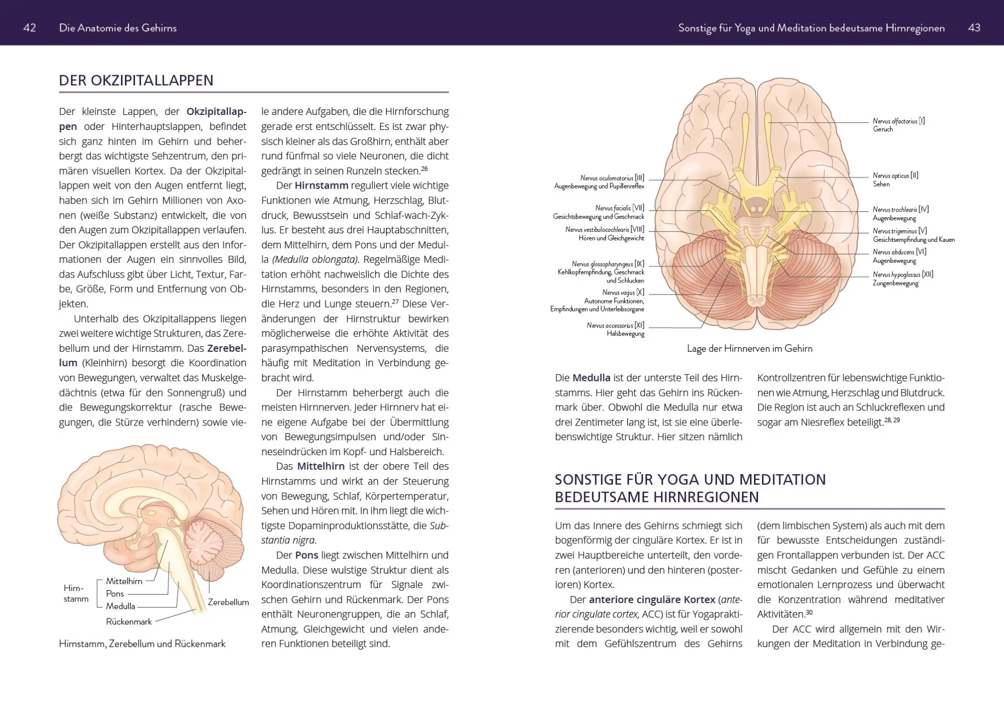 Bild: 9783742313157 | Die Neurowissenschaft hinter Yoga und Meditation | Brittany Fair