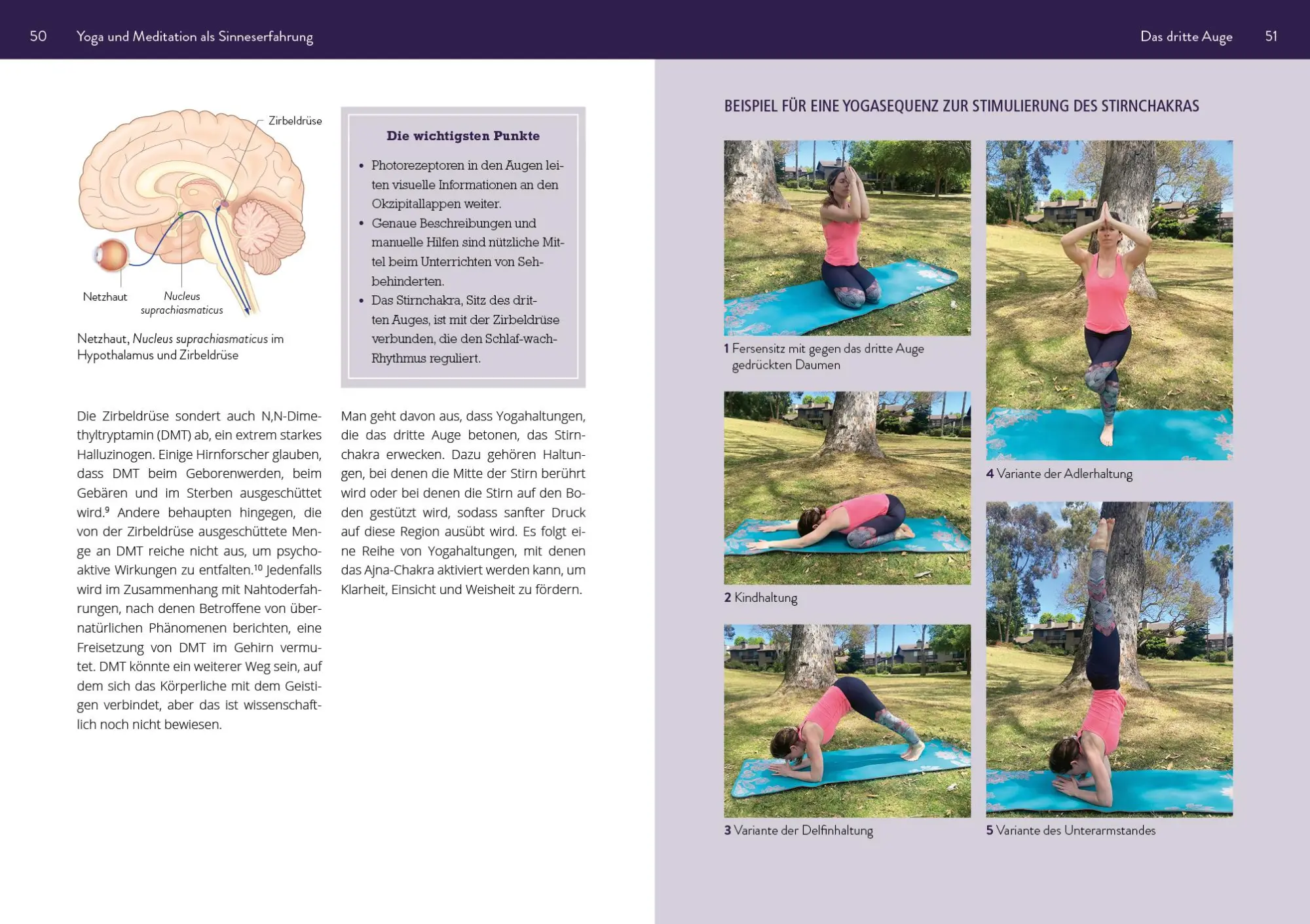 Bild: 9783742313157 | Die Neurowissenschaft hinter Yoga und Meditation | Brittany Fair