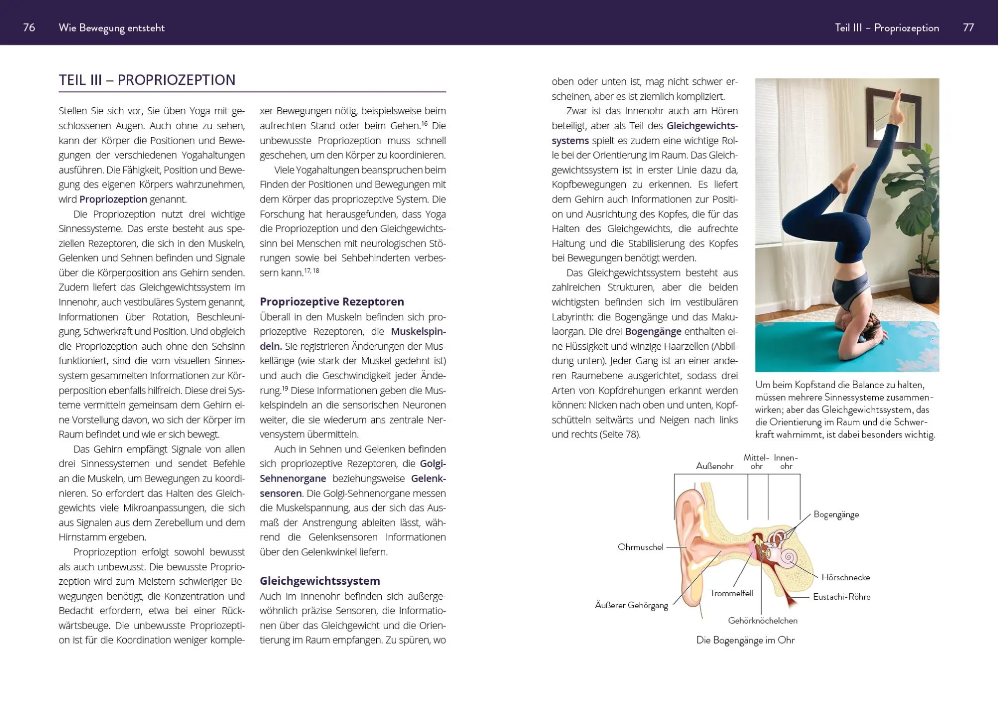 Bild: 9783742313157 | Die Neurowissenschaft hinter Yoga und Meditation | Brittany Fair