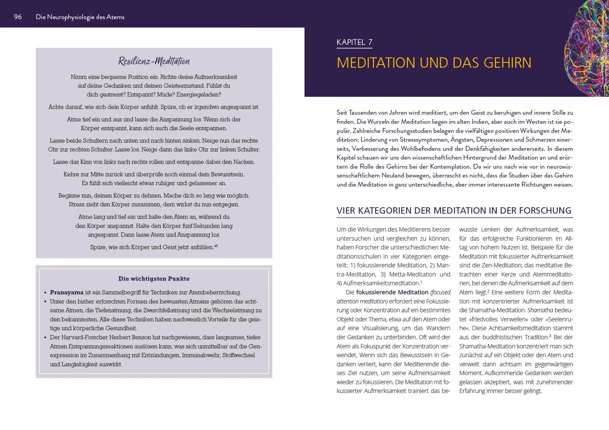 Bild: 9783742313157 | Die Neurowissenschaft hinter Yoga und Meditation | Brittany Fair