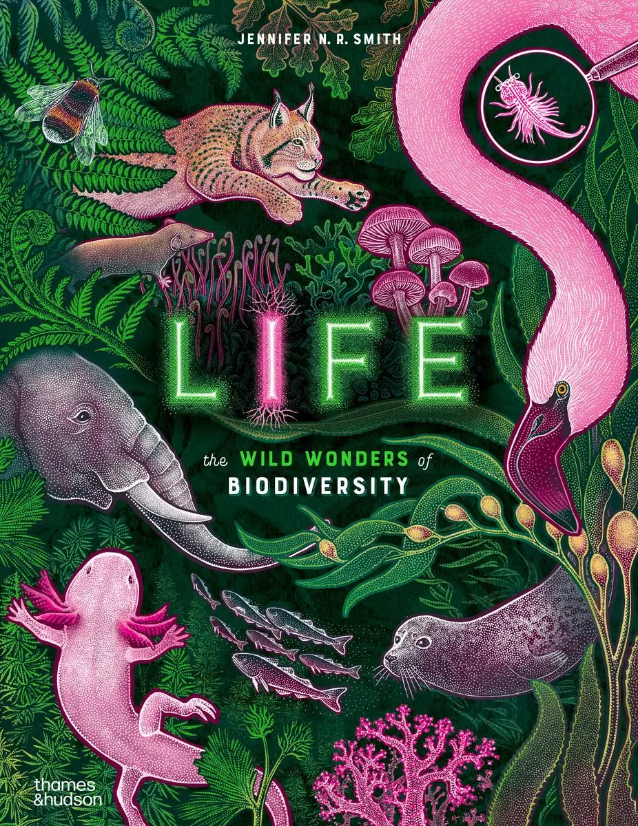 Cover: 9780500653357 | Life | The Wild Wonders of Biodiversity | Jennifer N R Smith | Buch