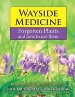 Cover: 9781910723357 | Wayside Medicine | Forgotten Plants and how to use them | Buch | 2017