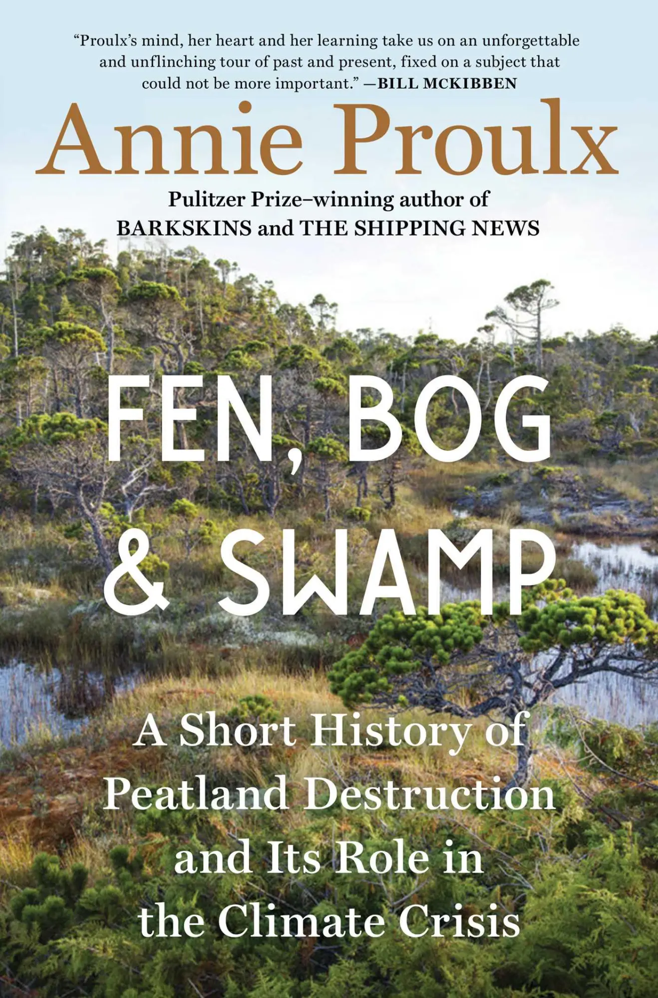 Cover: 9781982173357 | Fen, Bog and Swamp | Annie Proulx | Buch | Gebunden | Englisch | 2022