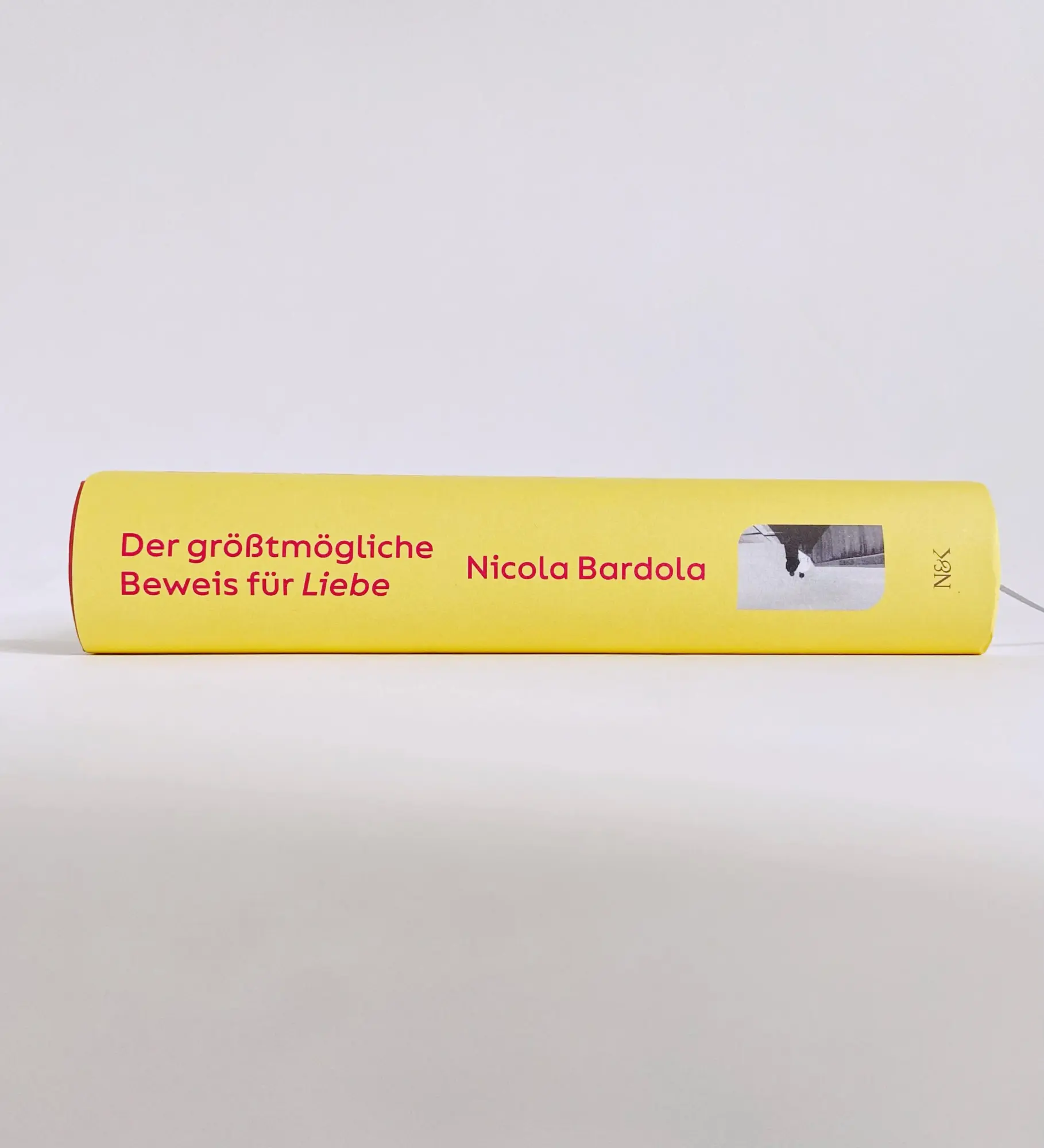 Bild: 9783312013357 | Der größtmögliche Beweis für Liebe | Nicola Bardola | Buch | 448 S.