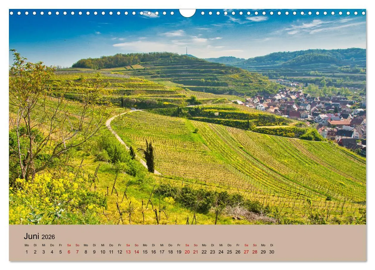 Bild: 9783457273357 | Kaiserstuhlblicke (Wandkalender 2026 DIN A3 quer), CALVENDO...