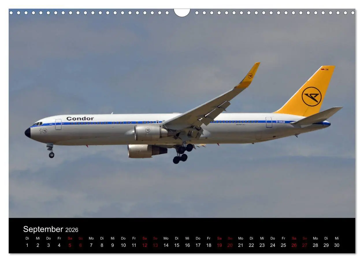 Bild: 9783457893357 | Im alten Glanz: Flugzeuge in Retro Livery (Wandkalender 2026 DIN A3...