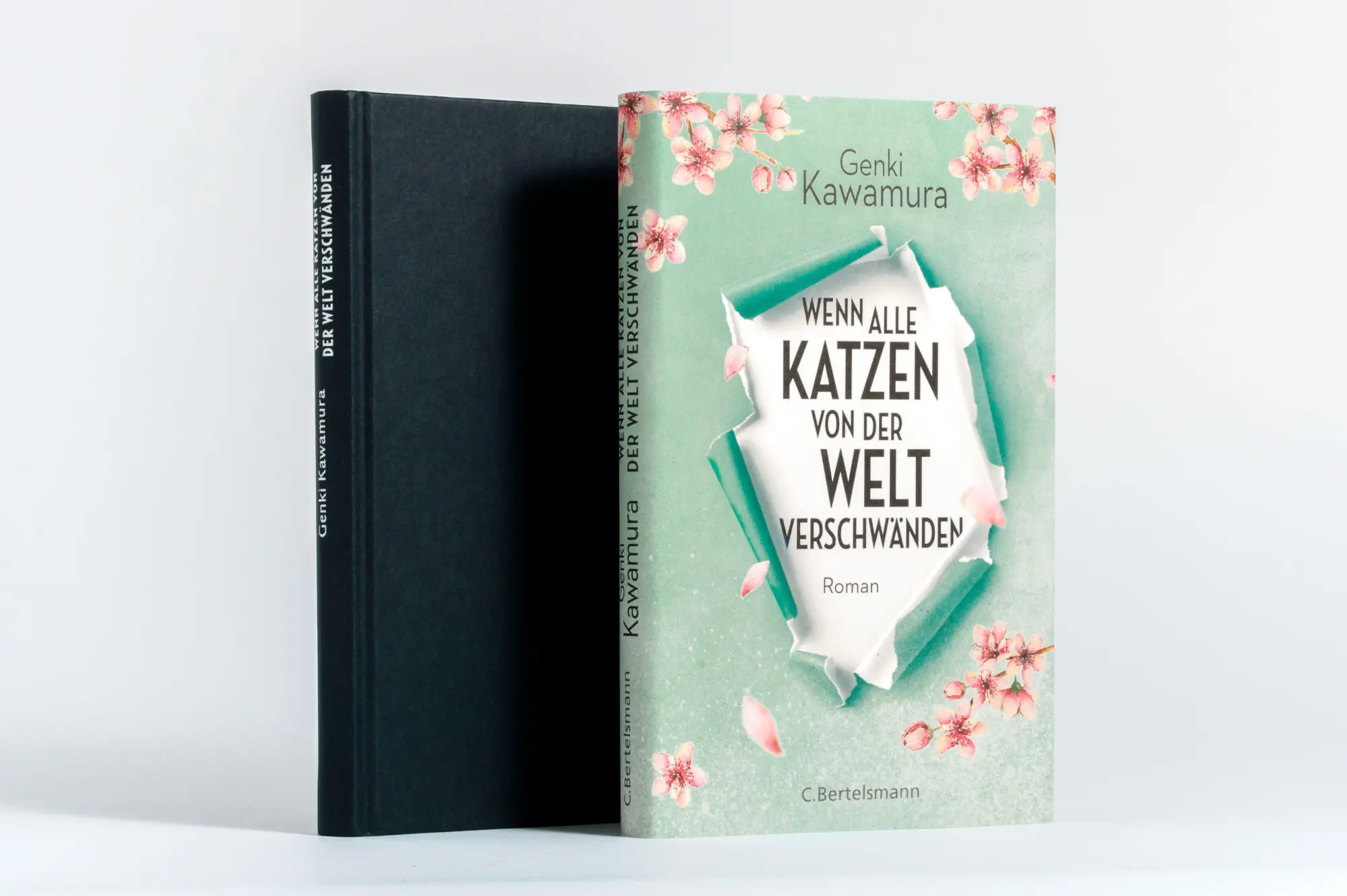 Bild: 9783570103357 | Wenn alle Katzen von der Welt verschwänden | Genki Kawamura | Buch