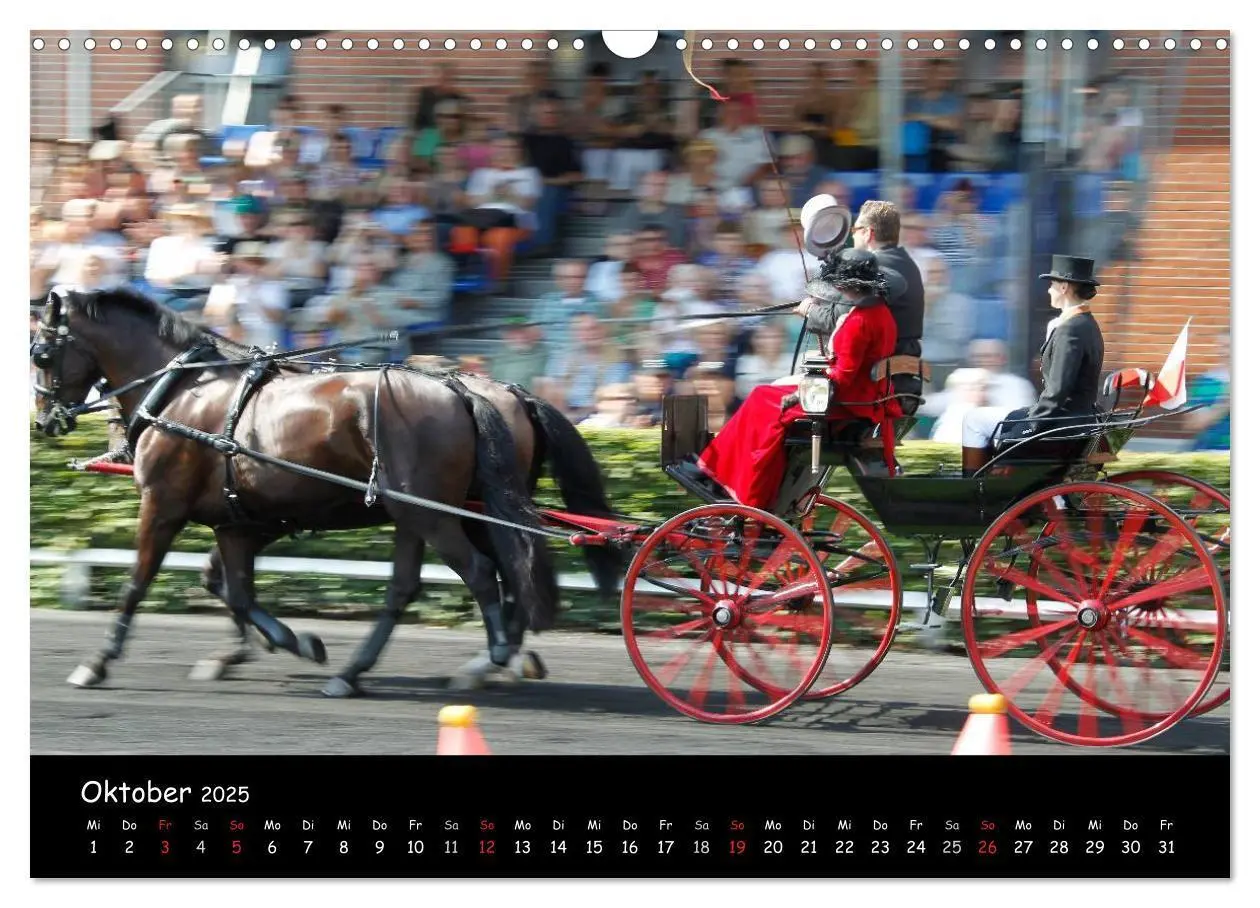 Bild: 9783435553457 | CIAT - Historischer Fahrsport in Celle (Wandkalender 2025 DIN A3...