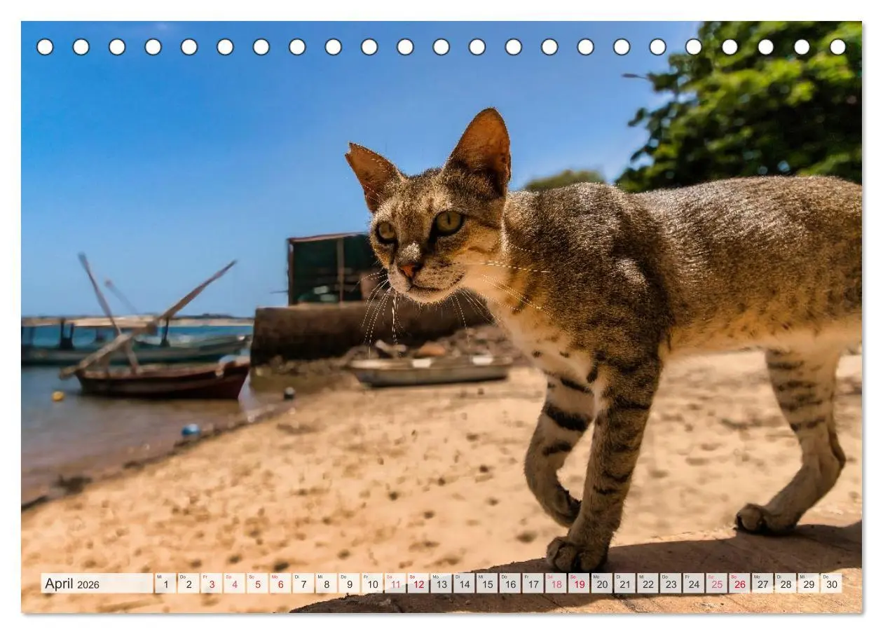 Bild: 9783457573457 | lamu - eintauchen in eine andere Welt vor der Küste Kenias...